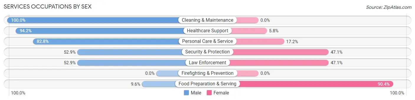 Services Occupations by Sex in Zip Code 06256