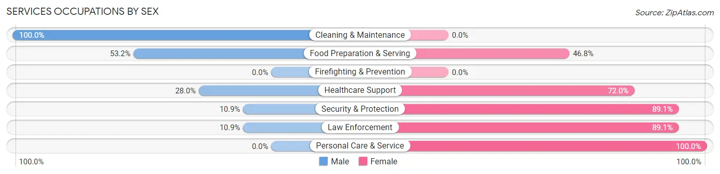 Services Occupations by Sex in Zip Code 06259