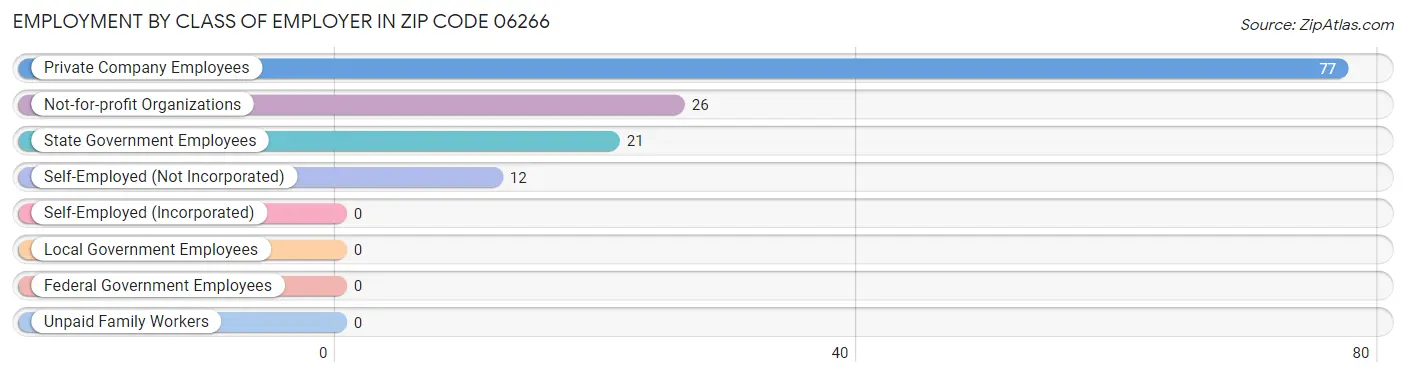 Employment by Class of Employer in Zip Code 06266