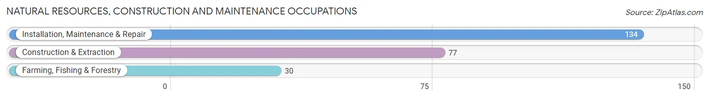 Natural Resources, Construction and Maintenance Occupations in Zip Code 06278