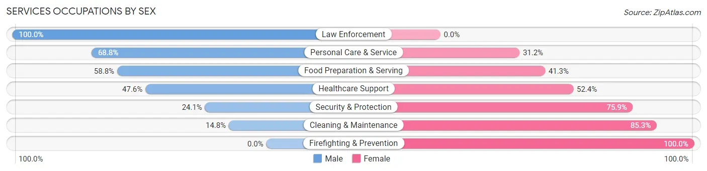Services Occupations by Sex in Zip Code 06279
