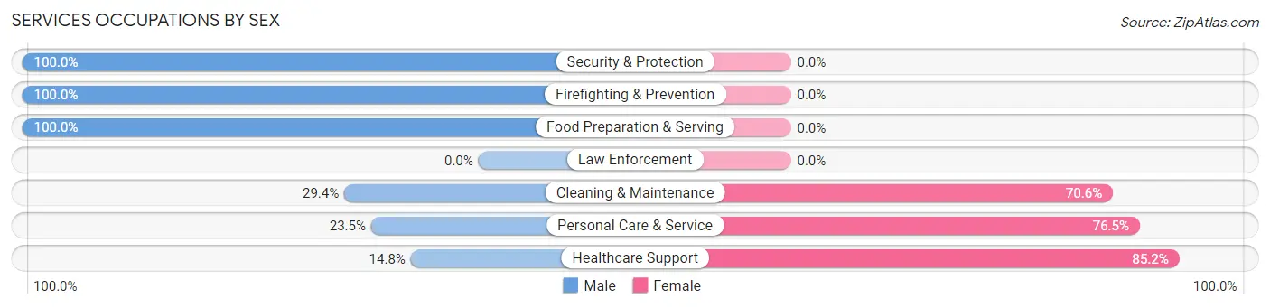 Services Occupations by Sex in Zip Code 06280