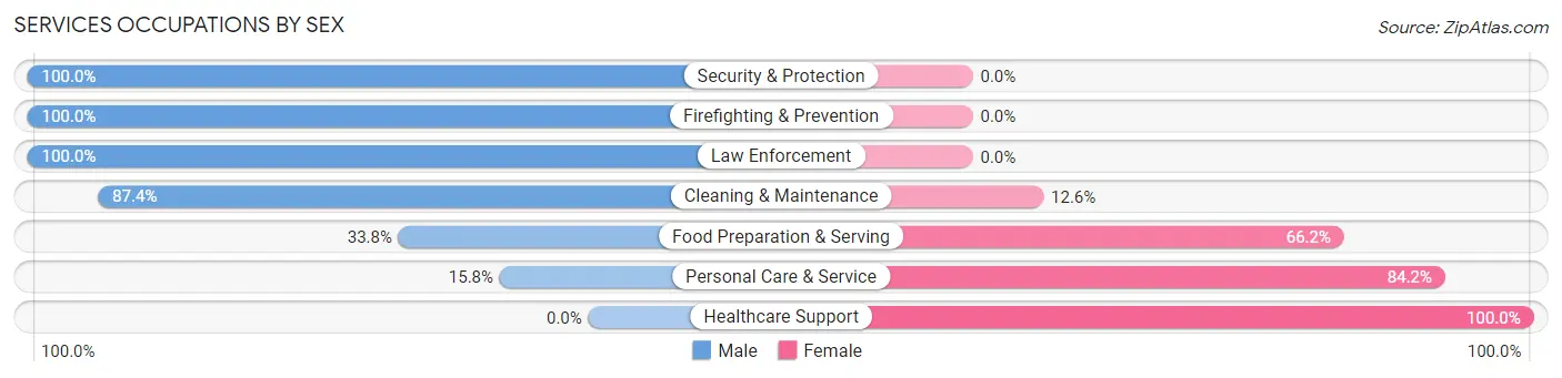 Services Occupations by Sex in Zip Code 06339