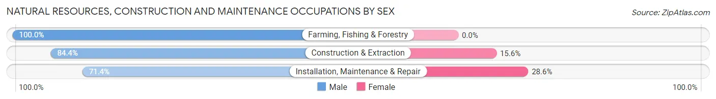 Natural Resources, Construction and Maintenance Occupations by Sex in Zip Code 06340