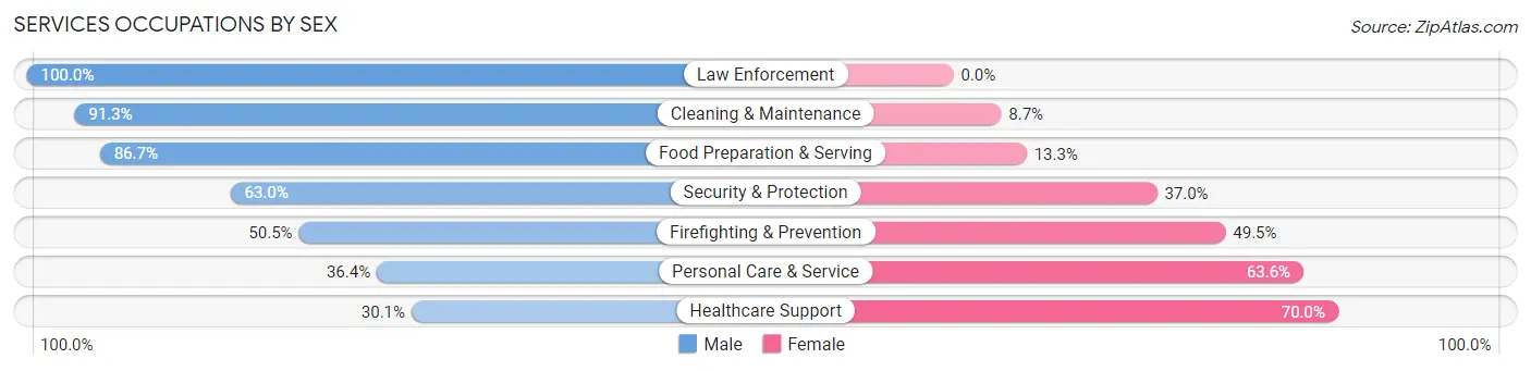 Services Occupations by Sex in Zip Code 06370