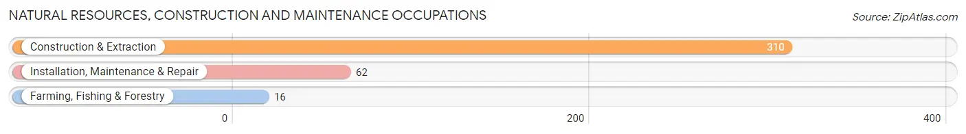 Natural Resources, Construction and Maintenance Occupations in Zip Code 06371