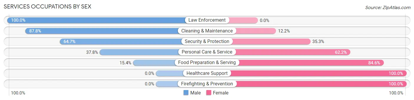 Services Occupations by Sex in Zip Code 06377