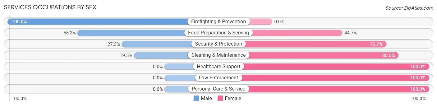 Services Occupations by Sex in Zip Code 06384