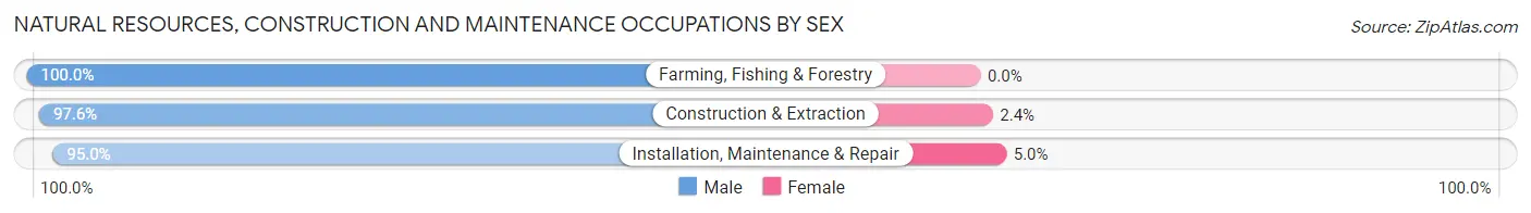 Natural Resources, Construction and Maintenance Occupations by Sex in Zip Code 06405