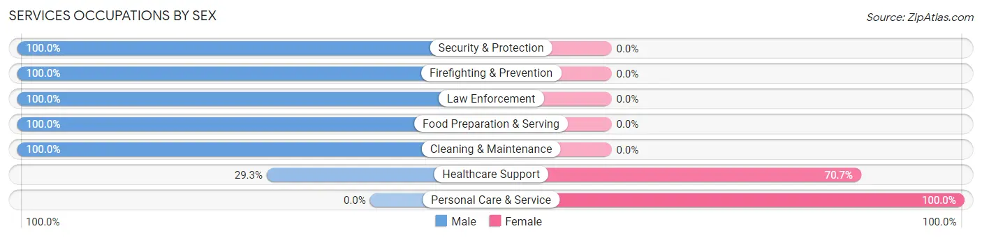 Services Occupations by Sex in Zip Code 06419