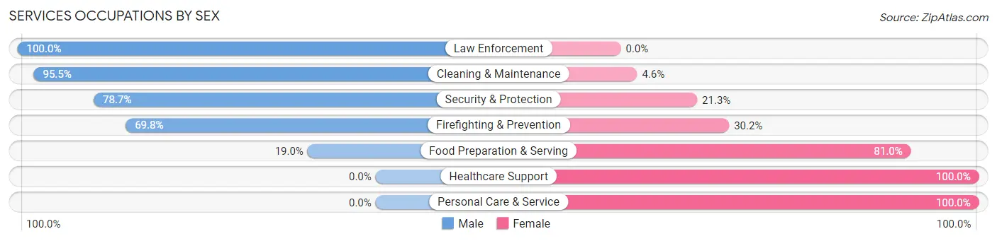 Services Occupations by Sex in Zip Code 06420