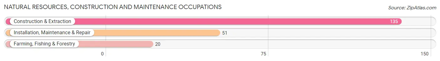 Natural Resources, Construction and Maintenance Occupations in Zip Code 06423