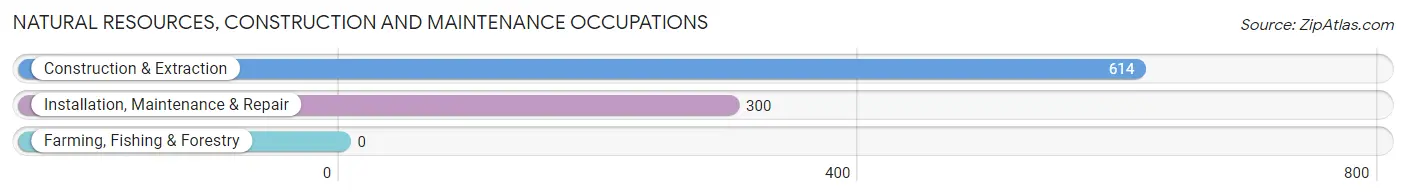 Natural Resources, Construction and Maintenance Occupations in Zip Code 06451