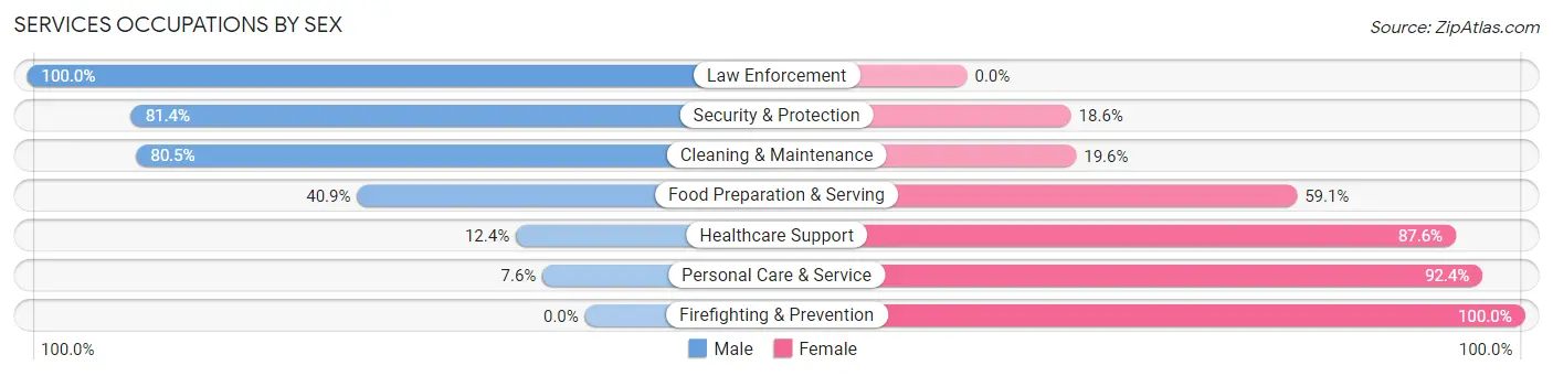 Services Occupations by Sex in Zip Code 06479
