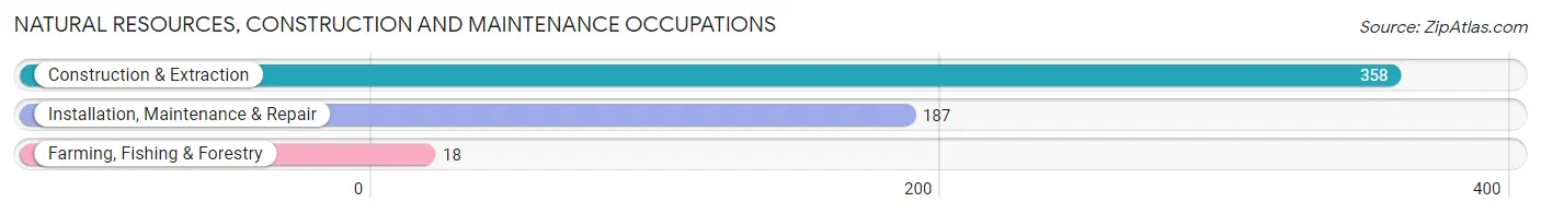 Natural Resources, Construction and Maintenance Occupations in Zip Code 06482