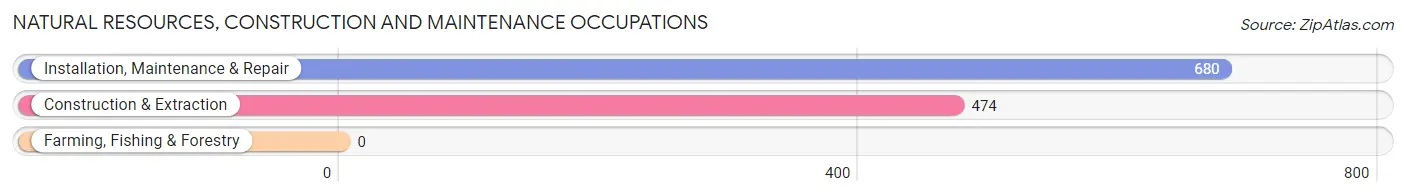 Natural Resources, Construction and Maintenance Occupations in Zip Code 06514