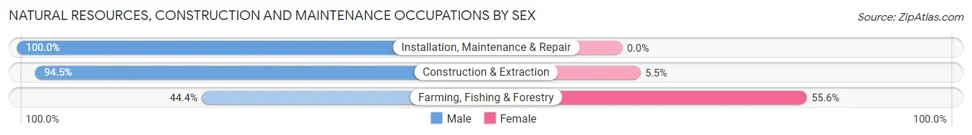 Natural Resources, Construction and Maintenance Occupations by Sex in Zip Code 06515
