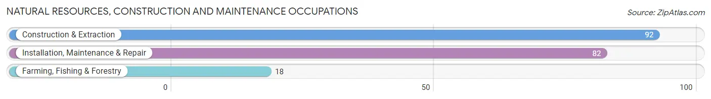 Natural Resources, Construction and Maintenance Occupations in Zip Code 06524