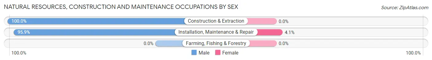 Natural Resources, Construction and Maintenance Occupations by Sex in Zip Code 06716
