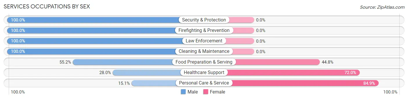 Services Occupations by Sex in Zip Code 06716