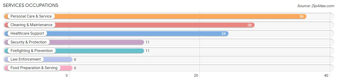 Services Occupations in Zip Code 06785