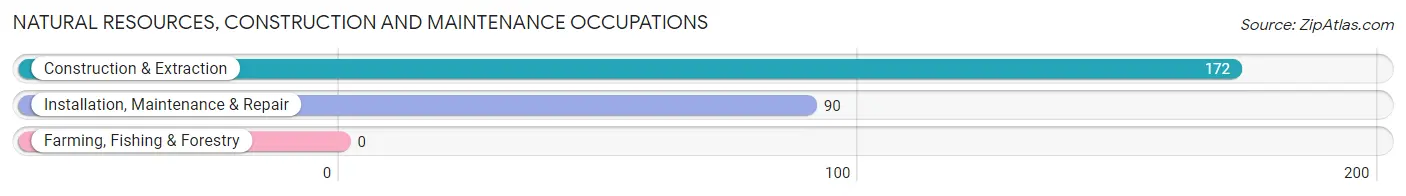 Natural Resources, Construction and Maintenance Occupations in Zip Code 06787