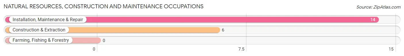 Natural Resources, Construction and Maintenance Occupations in Zip Code 06793