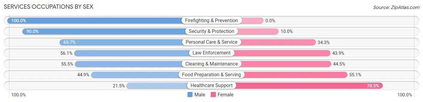 Services Occupations by Sex in Zip Code 06804