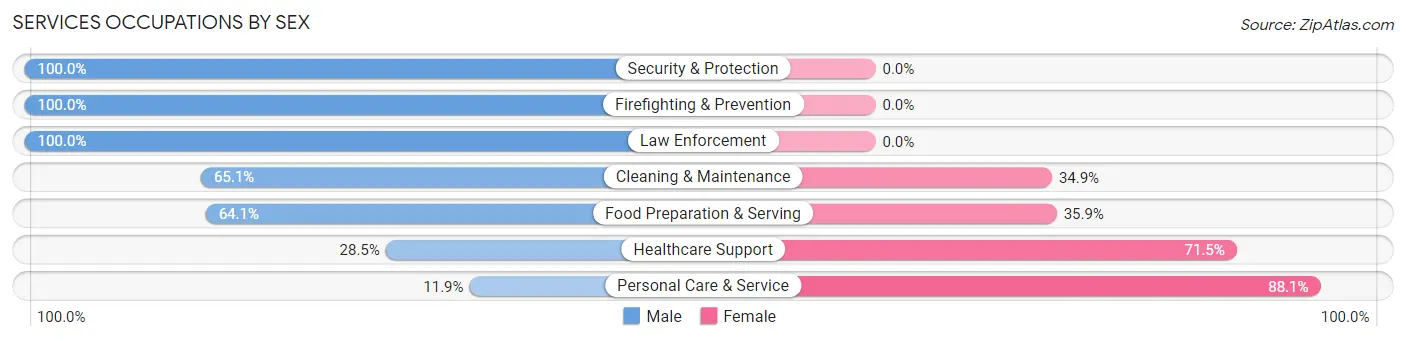 Services Occupations by Sex in Zip Code 06811
