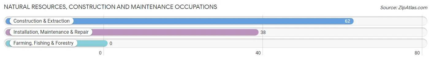 Natural Resources, Construction and Maintenance Occupations in Zip Code 06878