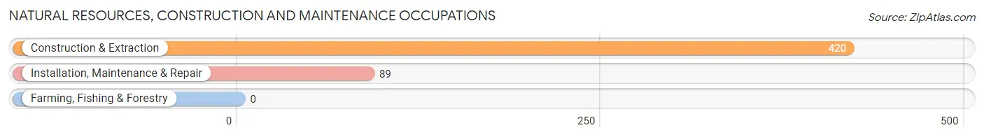 Natural Resources, Construction and Maintenance Occupations in Zip Code 06906