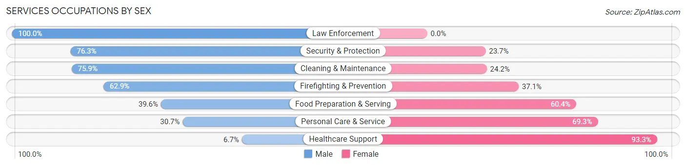 Services Occupations by Sex in Zip Code 07005