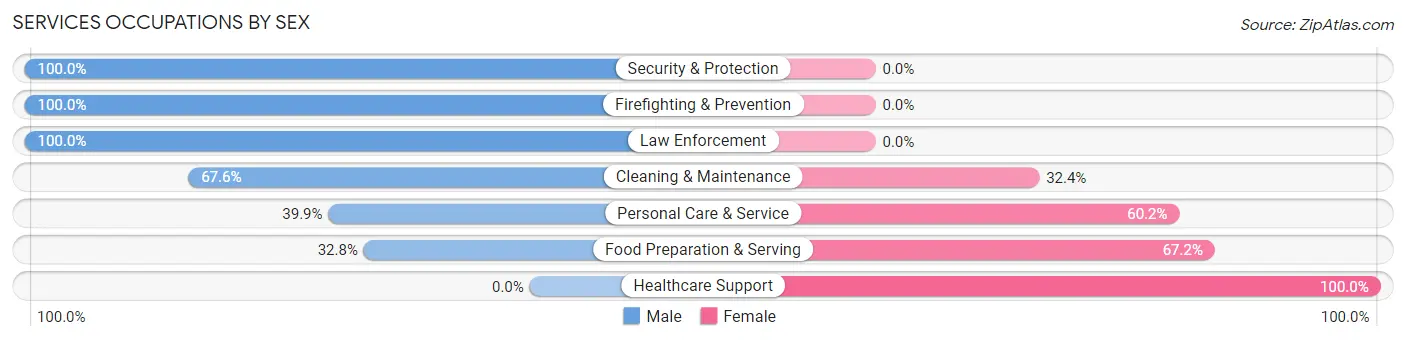 Services Occupations by Sex in Zip Code 07009