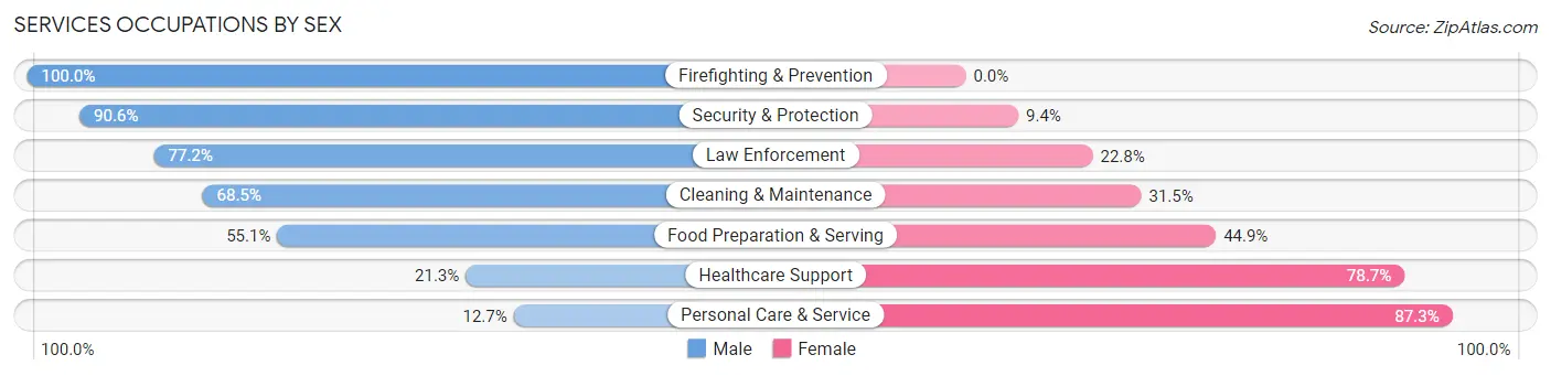Services Occupations by Sex in Zip Code 07011