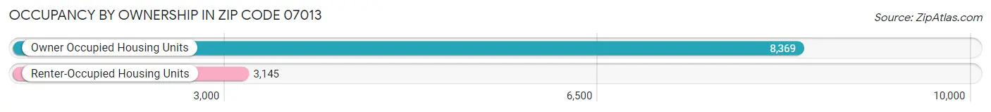 Occupancy by Ownership in Zip Code 07013