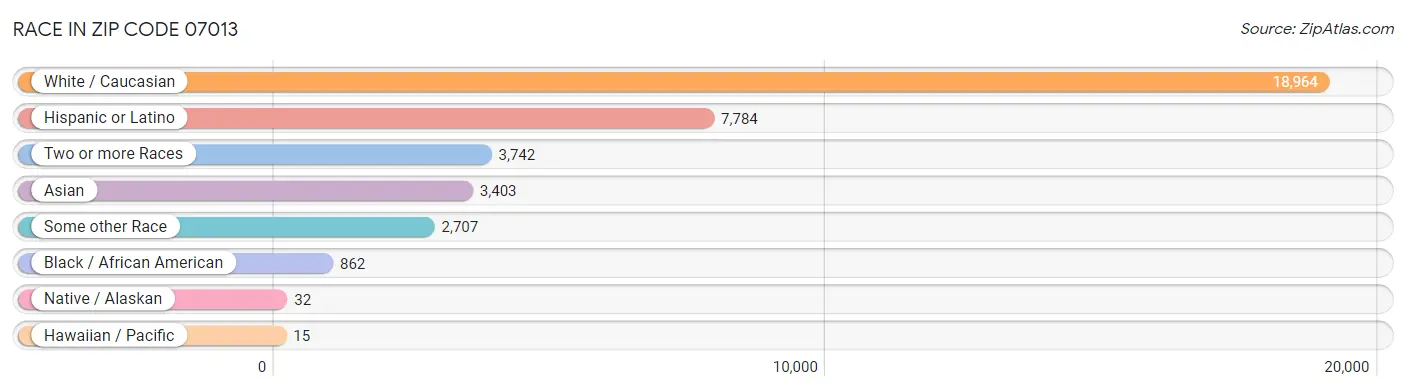 Race in Zip Code 07013