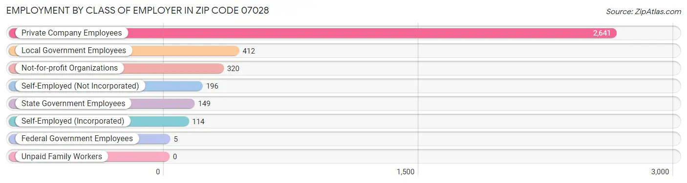 Employment by Class of Employer in Zip Code 07028