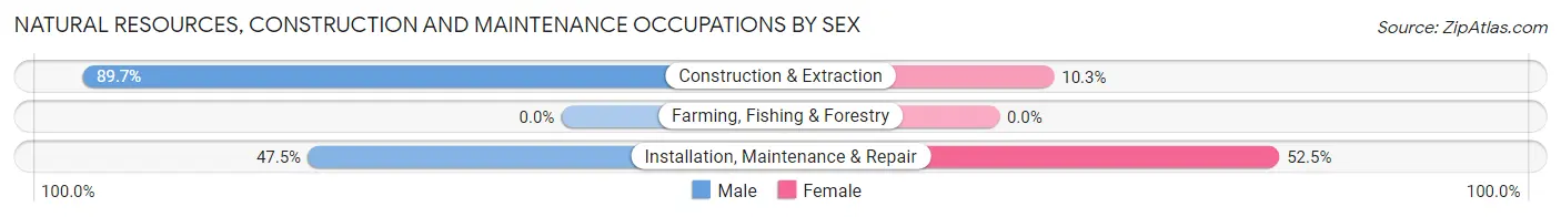 Natural Resources, Construction and Maintenance Occupations by Sex in Zip Code 07030