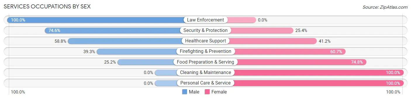 Services Occupations by Sex in Zip Code 07041
