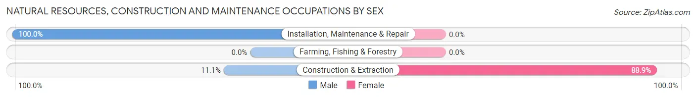 Natural Resources, Construction and Maintenance Occupations by Sex in Zip Code 07043