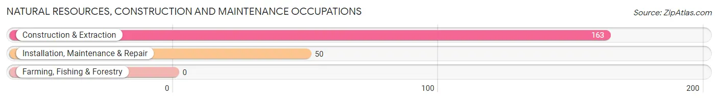 Natural Resources, Construction and Maintenance Occupations in Zip Code 07045