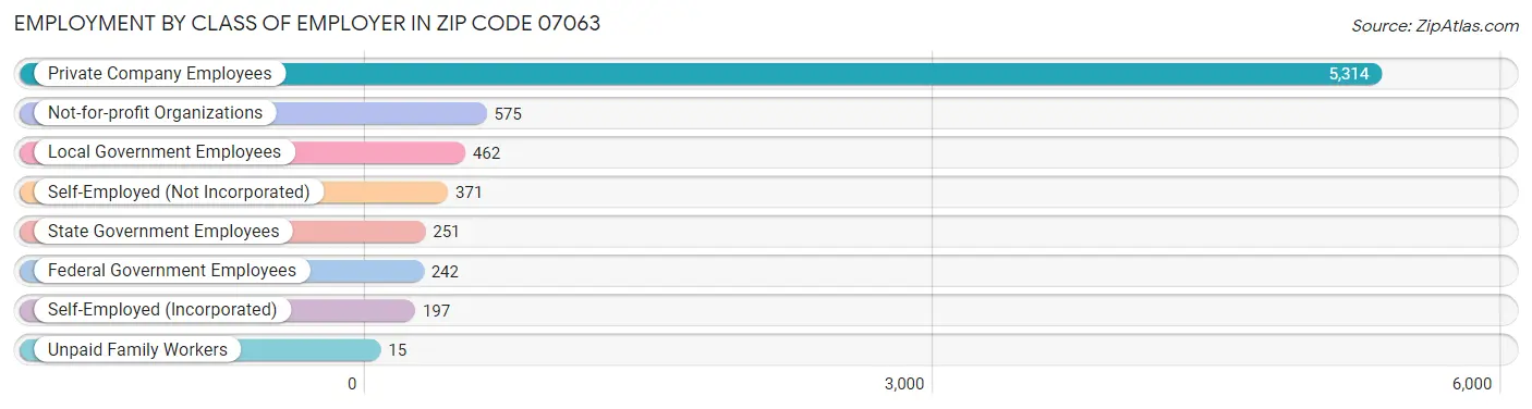 Employment by Class of Employer in Zip Code 07063