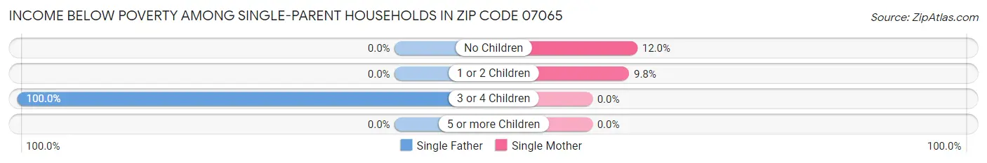 Income Below Poverty Among Single-Parent Households in Zip Code 07065