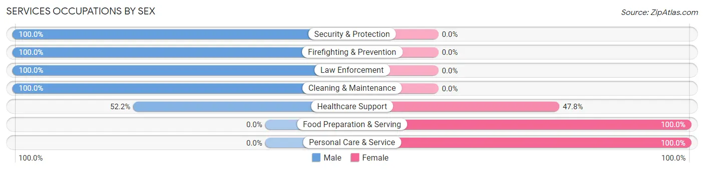 Services Occupations by Sex in Zip Code 07077