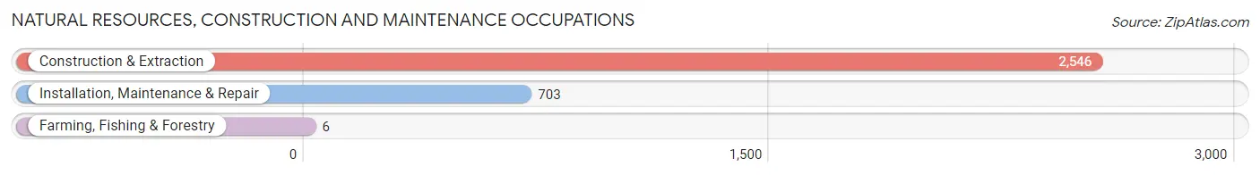 Natural Resources, Construction and Maintenance Occupations in Zip Code 07087