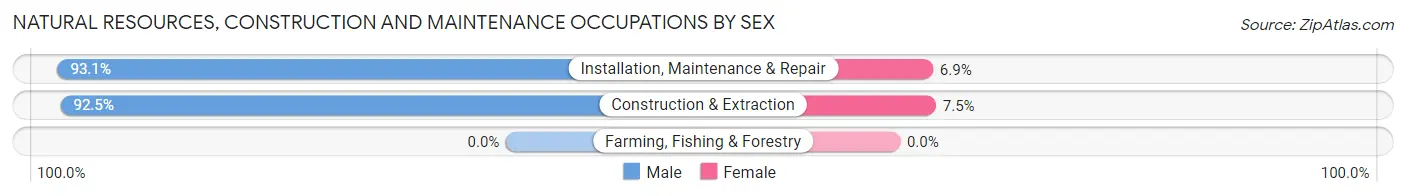 Natural Resources, Construction and Maintenance Occupations by Sex in Zip Code 07090