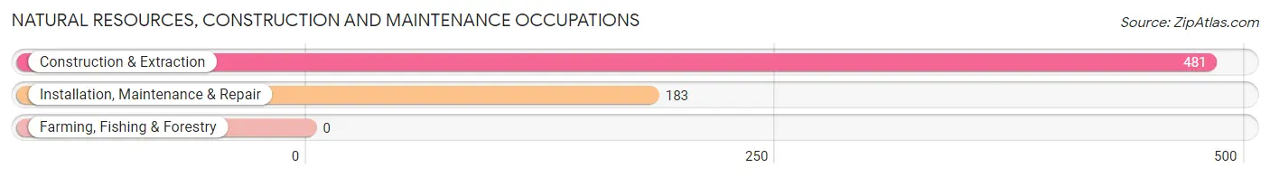 Natural Resources, Construction and Maintenance Occupations in Zip Code 07106