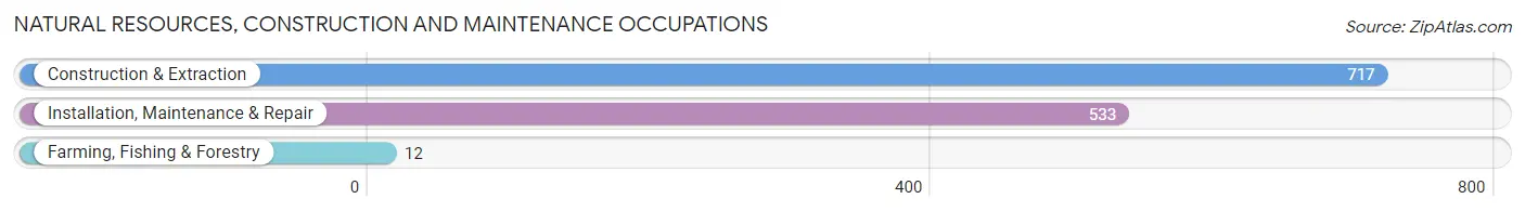 Natural Resources, Construction and Maintenance Occupations in Zip Code 07306