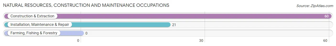 Natural Resources, Construction and Maintenance Occupations in Zip Code 07418