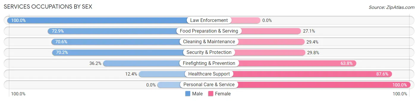 Services Occupations by Sex in Zip Code 07502